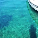 Regina Cavtat